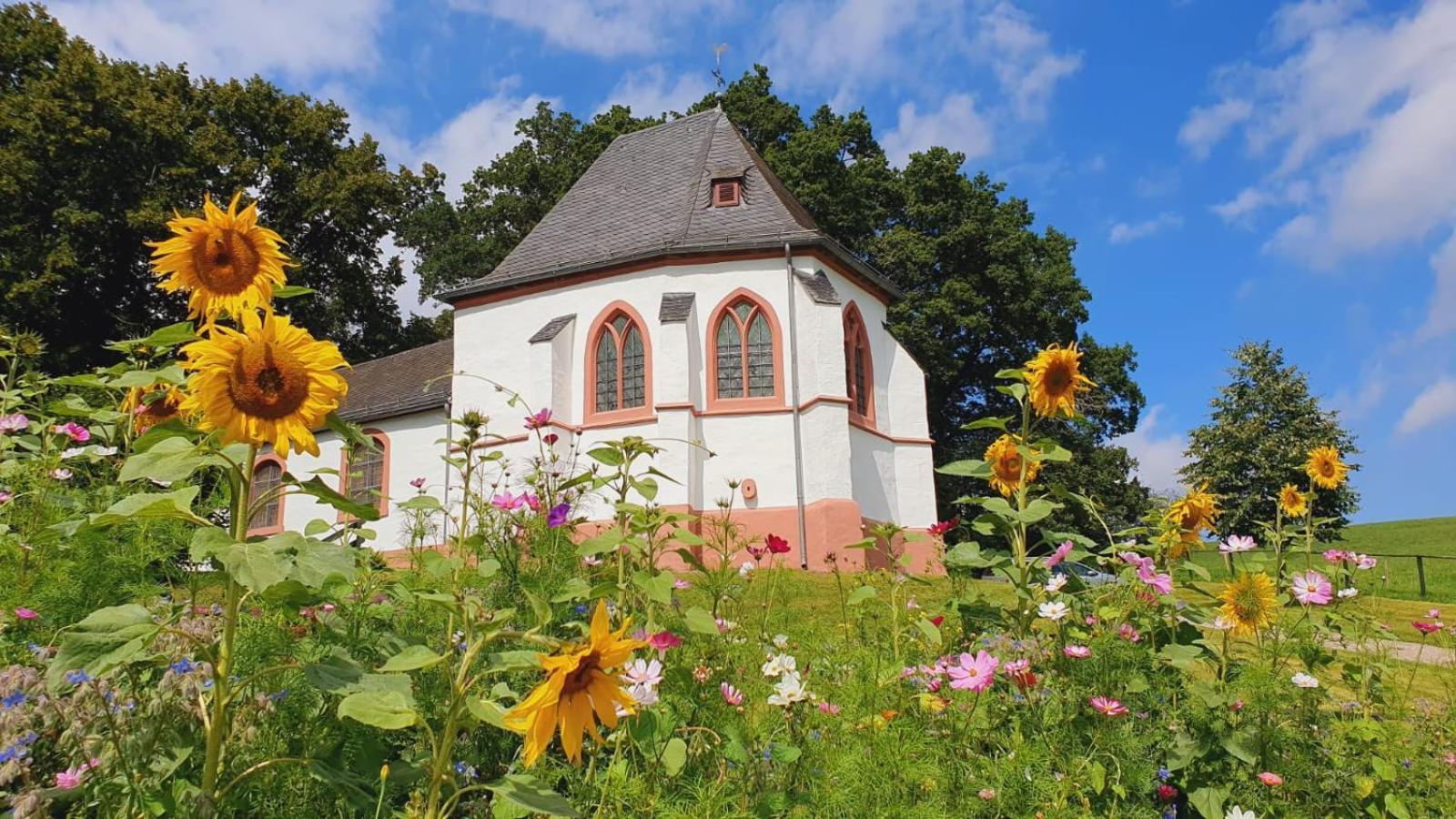 Ferienhaus Deine Zeit Mit Sauna Und Wallbox Nettersheim Buitenkant foto